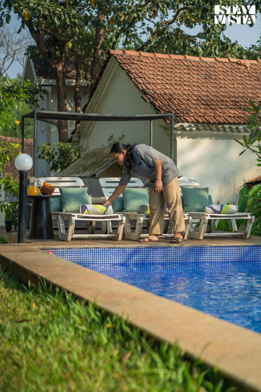Stayvista At Amalia By Tellado With Pool, Wifi Assagao Extérieur photo